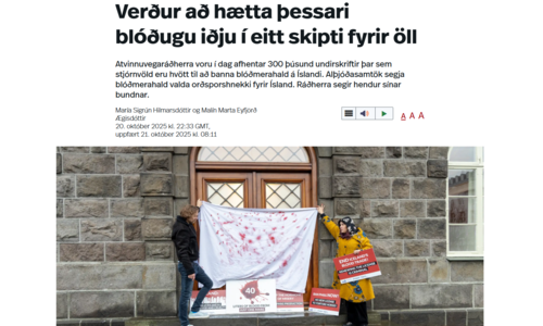[Translate to TSB: Schweizer Deutsch:] Übergabe Petition in Island